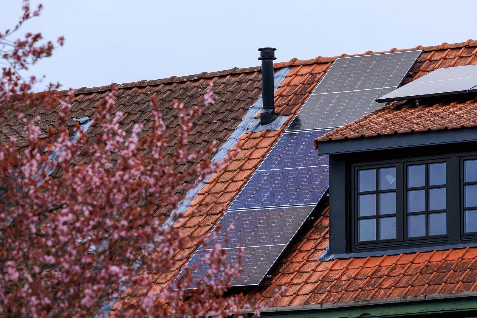 Rood pannendak met zwarte zonnepanelen naast een donkere dakkapel, met roze bloesem van een boom op de voorgrond